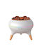 Led Aromatherapy Device with Timer 250ml 985753
