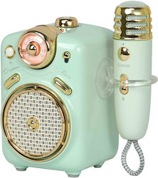 Divoom Karaoke-Lautsprecher mit kabellosem Mikrofon Fairy-2 Vintage Grün