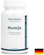 NatuGena Мумио 500 mg 60 Капсули
