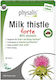 Physalis Milk Thistle Forte Silymarin Liver Support 45 Vegan Tablets