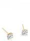 Solitaire Earrings 9K Gold Zircon Sk5023