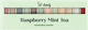 Pressed Powder Eye Shadow Palette 12g