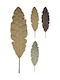 Bananenblatt 140 cm 3 verschiedene Farben