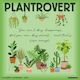 Willow Creek Press Plantrovert Calendar de Perete Zilnic 2027