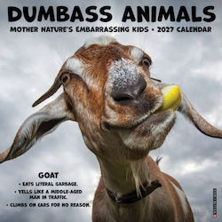 Willow Creek Press Dumbass Animals Täglicher Wandkalender 2027