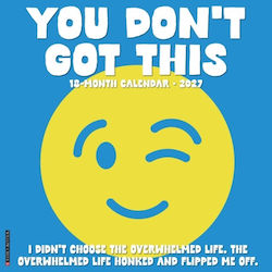 Willow Creek Press You Don't Got This Tageswandkalender 2027
