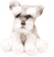 Suki Plush Toy