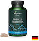 Tribulus Terrestris 120 Капсули