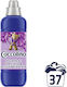 Coccolino Creations Balsam de Rufe Orhidee Violetă și Afine Concentrat 37 de Spălări