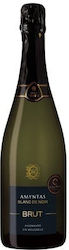 E.A.S. Amyntaiou Vin Xinomavro Alb Sec din Amyntaio Spumant 750ml E.A.S. Amyntaiou Vin Xinomavro Alb Sec din Amyntaio Spumant 750ml