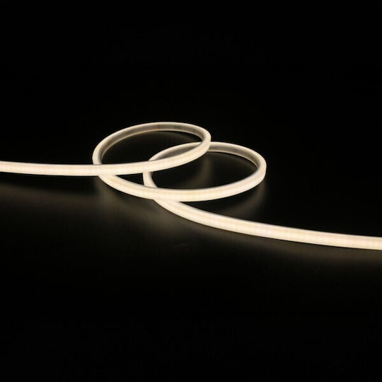 Neon-Mini-LED-Streifen für obere Biegung 5 m 8 W 24 V 6500 K IP65 6 × 6 mm Pro Eurolamp 145-73050