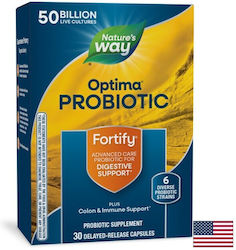 Nature's Way Fortify Optima Supliment cu Probiotice 330 mg 30 Capsule pe Bază de Plante Nature's Way Fortify Optima Supliment cu Probiotice 330 mg 30 Capsule pe Bază de Plante