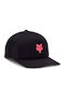 W Boundary Trucker