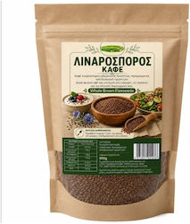 Votanotherapeia Organic Brown Flaxseed 500g