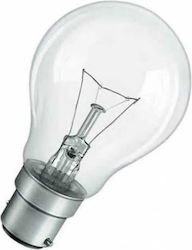 Incandescent Lamp 24/25V 60W B22