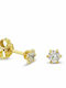 9K Gold Zircon Earrings Sk1201
