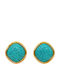 Women's Stainless Steel Earrings Turquoise Resin Gold
