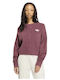 Knit Cardigan Women's Burgundy Cardigan