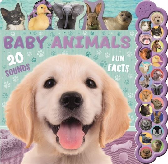 Baby Animals - Bonnier Books Ltd - Board Book