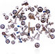 Complete Screw Set Iphone 13