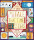 The Tale That Time Sews Sita Brahmachari Templar Books