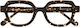 Anne & Valentin Bakoto 25c06