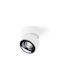 Rendl Light Studio Albano Външен Таванен Спот с Вграден LED R14425