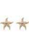 Ardika Stud Earrings with Light Blue Stones