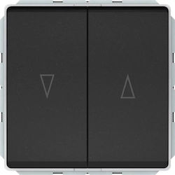 Harry Potter Recessed Double Wall Switch Without Frame Black Harry Potter Recessed Double Wall Switch Without Frame Black