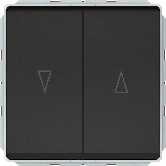 Harry Potter Recessed Double Wall Switch Without Frame Black
