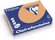 Carton A4 160 g/m² Culoare Pală 250 de Foi Top Clairefontaine Caramel