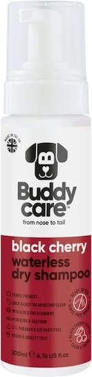Σαμπουάν Στεγνού Καθαρισμού Σκύλου Buddy Care Black Cherry 200ml