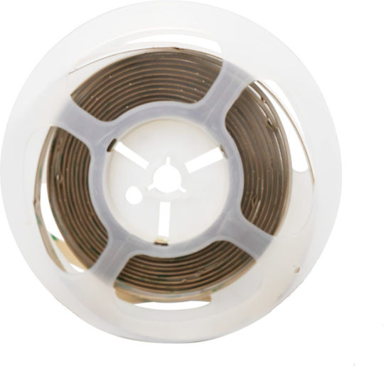 Optonica 24V RGB COB-Type LED Strip Light