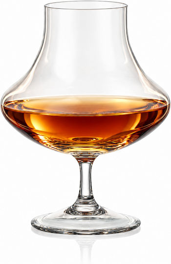Rona Set Cognac- / Brandygläser aus Glas 280 ml 2 Stück