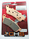 Artrax Fa261-vd-165-ρ-247 Gold Motorcycle Brake Pads