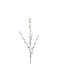 Τεχνητό Κλαδί 78εκ Emerald Pussy Willow Cream 436140