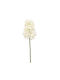 Τεχνητό Λουλούδι 48εκ Emerald Hyacinthus Cream 435688