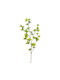 Τεχνητό Κλαδί 90εκ Emerald Tropaeolum Green 432084