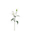 Изкуствено Цвете 56 см Emerald Lily White 433643