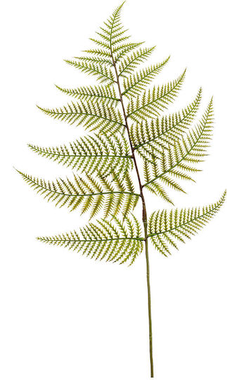 Τεχνητό Κλαδί 80εκ Emerald Fern Green 427832