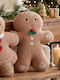 Коледна Двулицева Възглавница Букле 30x41 S-f Ginger Camel Ce319009 Boy