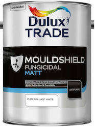 Dulux Trade Acrylic Water-Based Paint for Interior and Exterior Use 2.5lt Dulux Trade Acrylic Water-Based Paint for Interior and Exterior Use 2.5lt