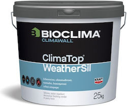 Kraft Decorative Paint White 5kg JC62106K12115