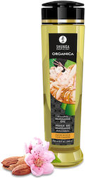 Shunga Organica Massageöl 240 ml